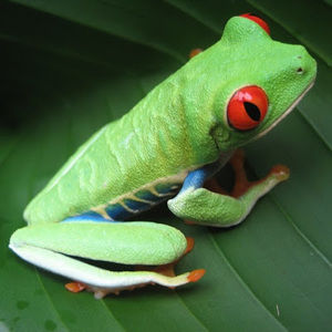 Meet your Posher, Susan